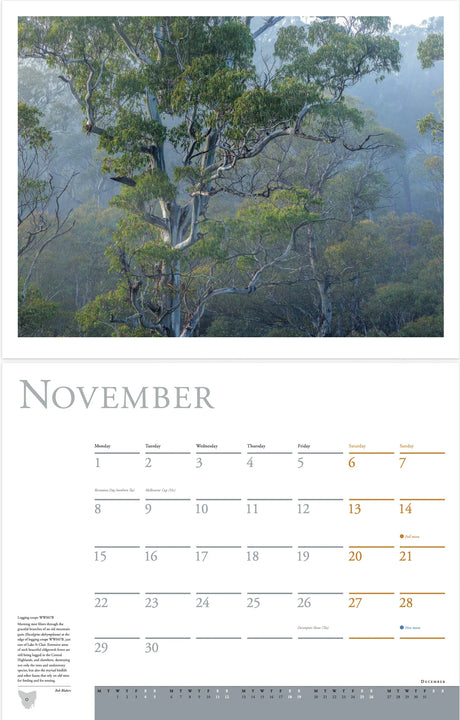 A printed calendar page showing a large nature photograph of a misty forest with tall trees at the top and a November calendar grid below on a white page. - Rob Blakers Wild Tasmania 2027 Large Calendar