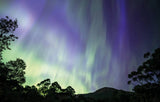Northern lights with vibrant green, purple, and blue curtains dancing across a starry night sky, framed by dark tree silhouettes at the bottom. - Rob Blakers Tasmanian Landscapes Calendar