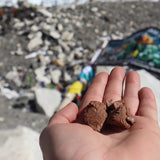 Campers Pantry Freeze Dried Ice Cream - Chocolate (80g) - Find Your Feet Australia Hobart Launceston Tasmania