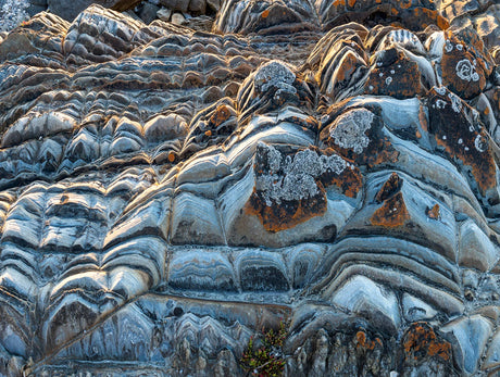 Close-up of layered rock formations with wavy strata in gray, white, and blue-gray tones, with patches of orange-brown lichen or mineral deposits. - Rob Blakers Wild Tasmania 2027 Large Calendar