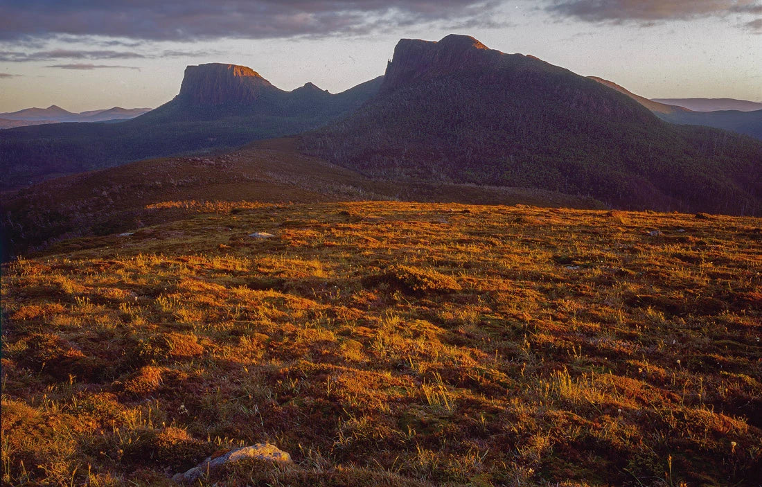 A scenic landscape photograph of rugged mountains rising above a golden-brown grassy plain under a dramatic sky at sunset or sunrise. - Rob Blakers Tasmanian Landscapes Calendar