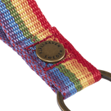 Fjallraven Kanken Rainbow Key Ring