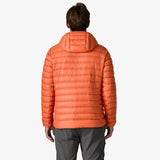 Patagonia Down Sweater Hoody (Men's) - Coal Orange