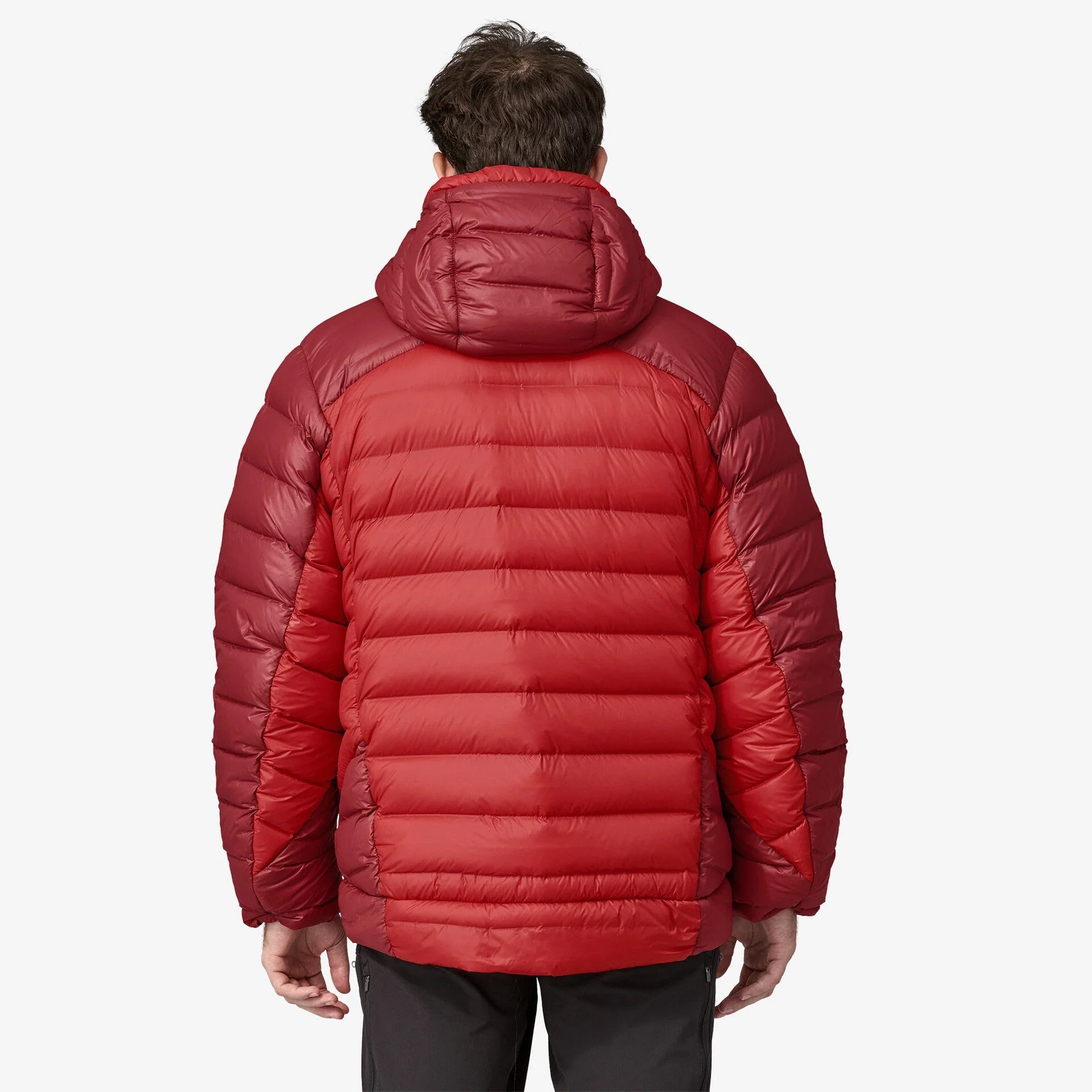 Patagonia AlpLoft Parka (Unisex) - Touring Red - Find Your Feet Australia Hobart Launceston Tasmania