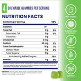 Nutrition facts label for chewable gummies with green background and icons. - SaltStick Energy Gummies - Green Apple - 