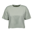 Black Diamond Circuit Short Sleeve Tee (Women's) - Agave