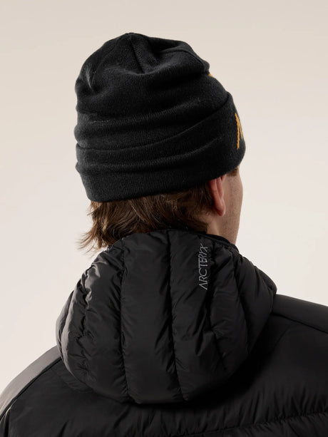 Arc'teryx Bird Word Toque - 24K Black - Gold - Bronze - Yellow