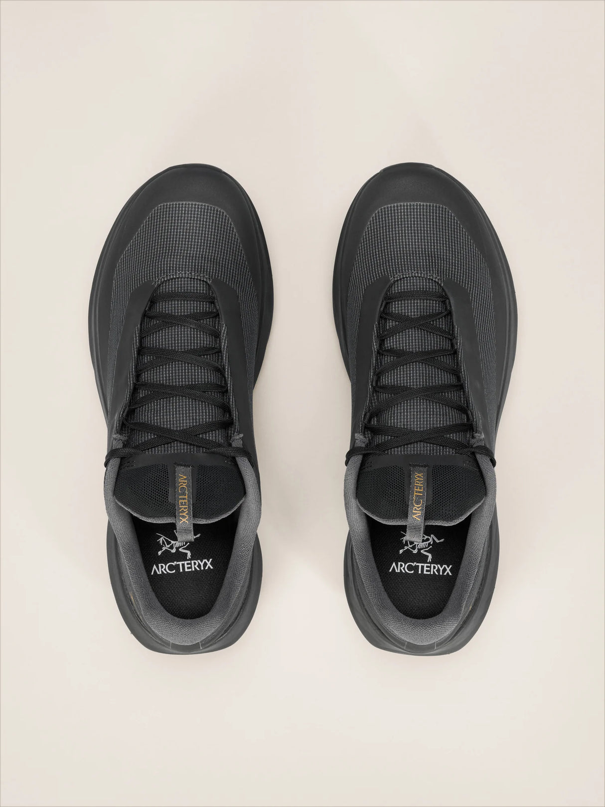 Arc'teryx Norvan LD 4 GORE-TEX Shoes (Men's) - Black/Black
