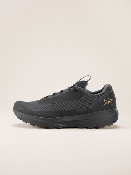 Arc'teryx Norvan LD 4 GORE-TEX Shoes (Men's) - Black/Black