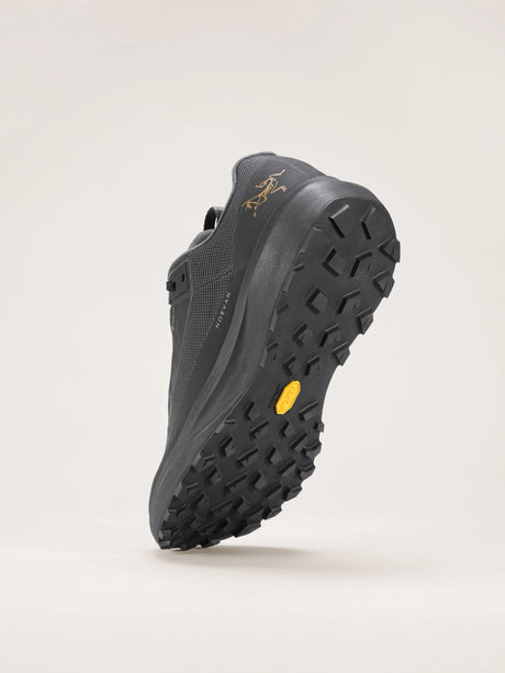 Arc'teryx Norvan LD 4 GORE-TEX Shoes (Men's) - Black/Black
