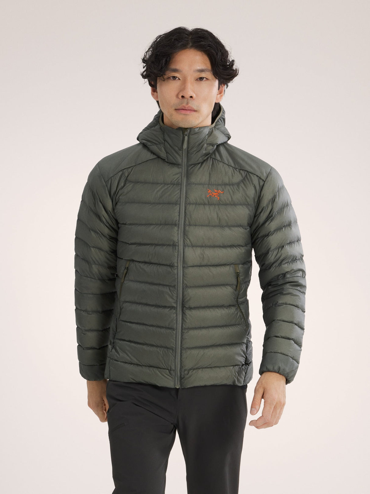 Arc'teryx Cerium Hoody (Men's) - Forage/Verve