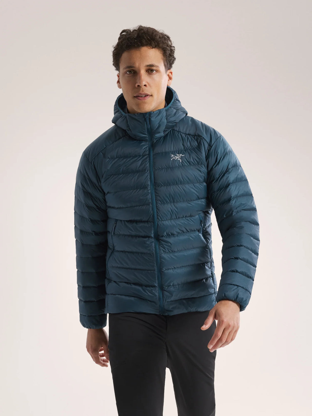 Arc'teryx Cerium Hoody (Men's) - Nightscape