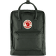 Fjällräven Kånken Backpack - Forest Green