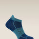 Icebreaker Merino Run+ Ultralight Micro Socks (Men's) - Atlantis/Topaz
