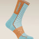 Icebreaker Merino Run+ Ultralight Crew Socks (Men's) - Hydro/Trail