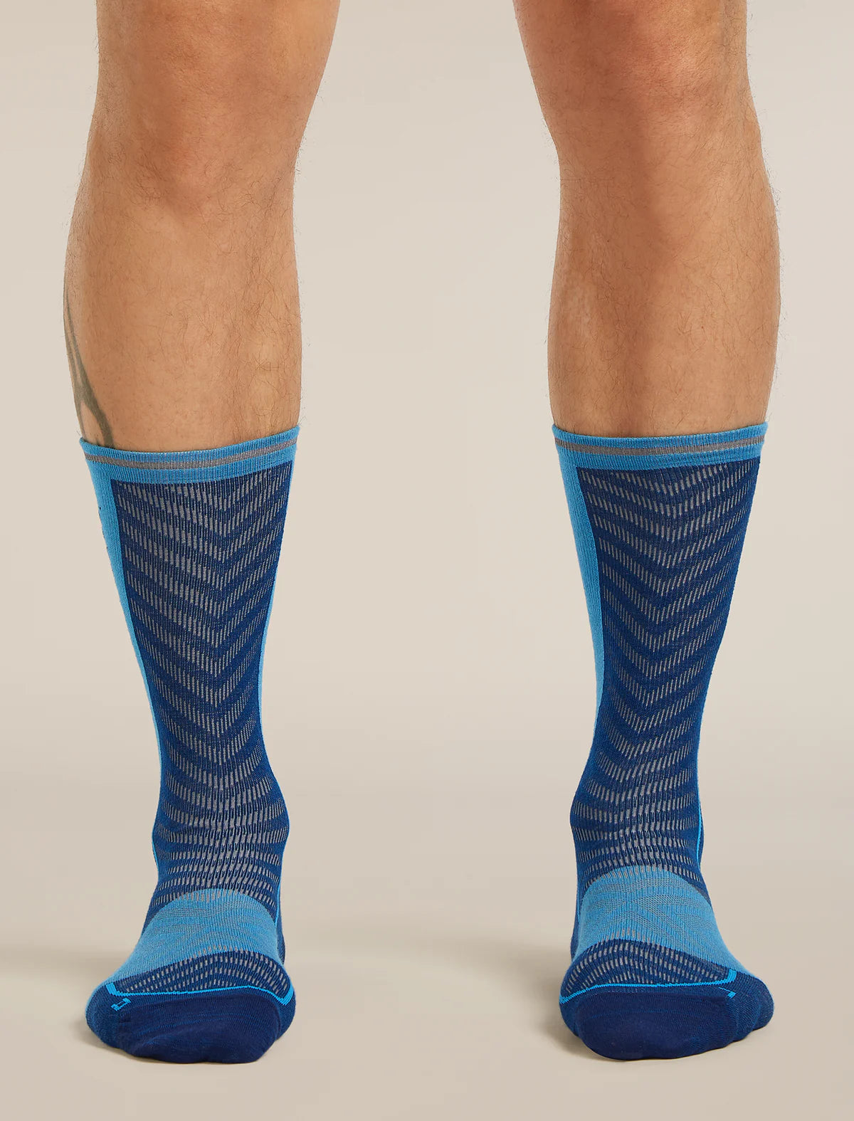 Icebreaker Merino Run+ Ultralight Crew Socks (Men's) - Atlantis/Arctic