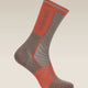 Icebreaker Merino Run+ Ultralight Crew Socks (Women's) - Porcini/Fervid
