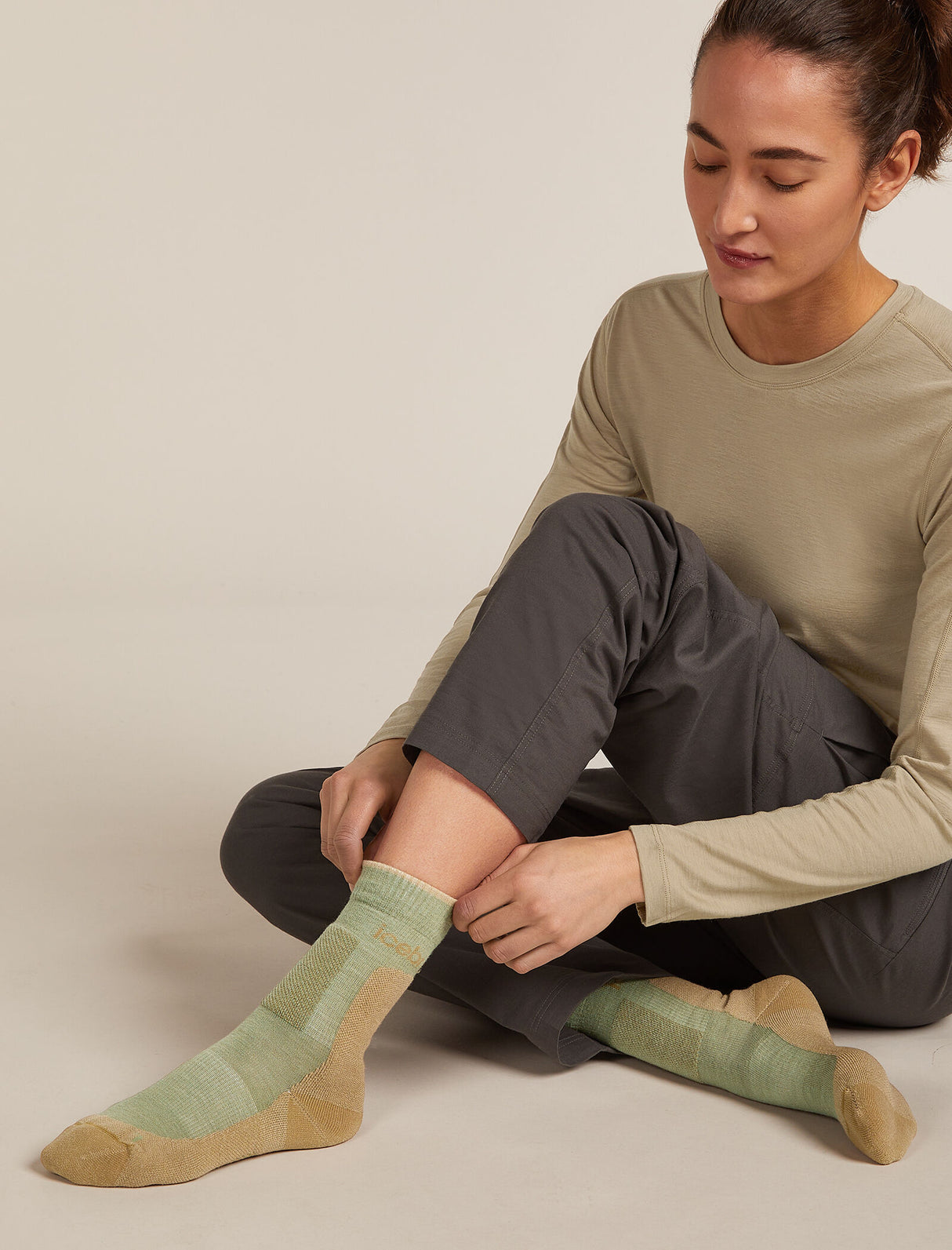 Icebreaker Merino Hike+ Medium Crew Socks (Women's)