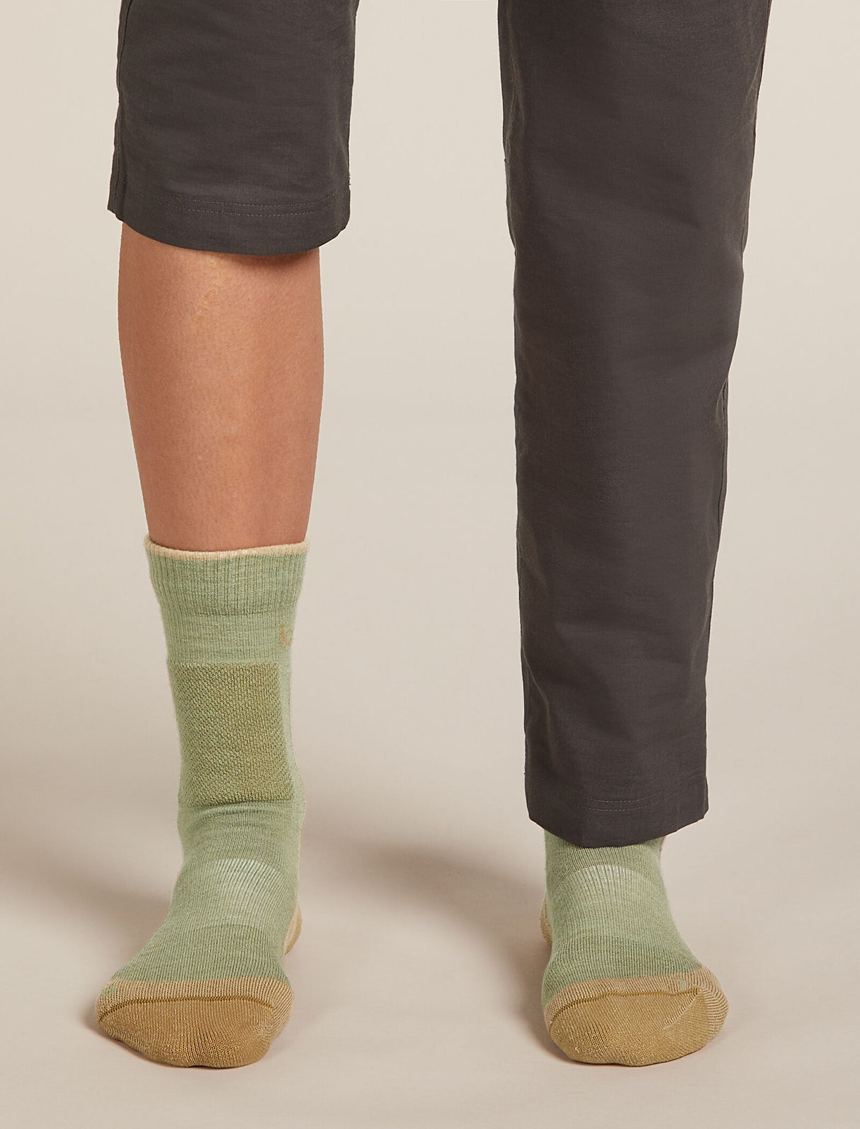 Icebreaker Merino Hike+ Medium Crew Socks (Women's)