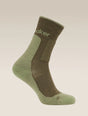 Icebreaker Merino Hike+ Medium Crew Socks (Men's) - Loden/Lichen