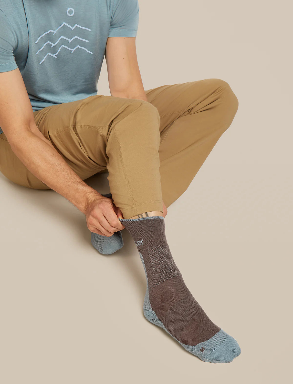 Icebreaker Merino Hike+ Medium Crew Socks (Men's) - Porcini/Flint Blue