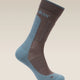 Icebreaker Merino Hike+ Medium Crew Socks (Men's) - Porcini/Flint Blue