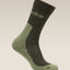 Icebreaker Merino Hike+ Light Crew Socks (Men's) - Dark Loden/Lichen