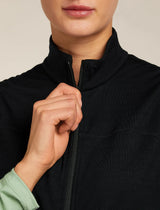 Icebreaker Merino Blend 300 RealFleece Descender Vest (Women's) - Black