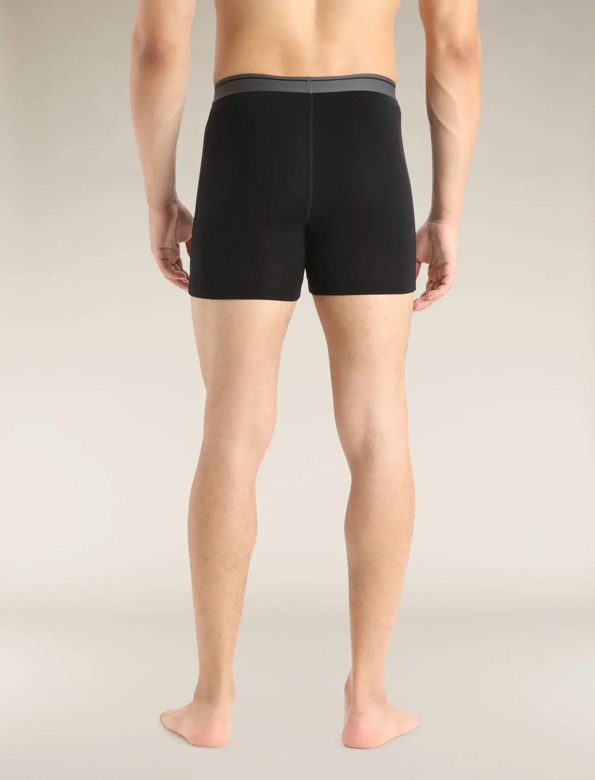 Icebreaker Merino 150 Anatomica Boxers (Men's) Icebreaker