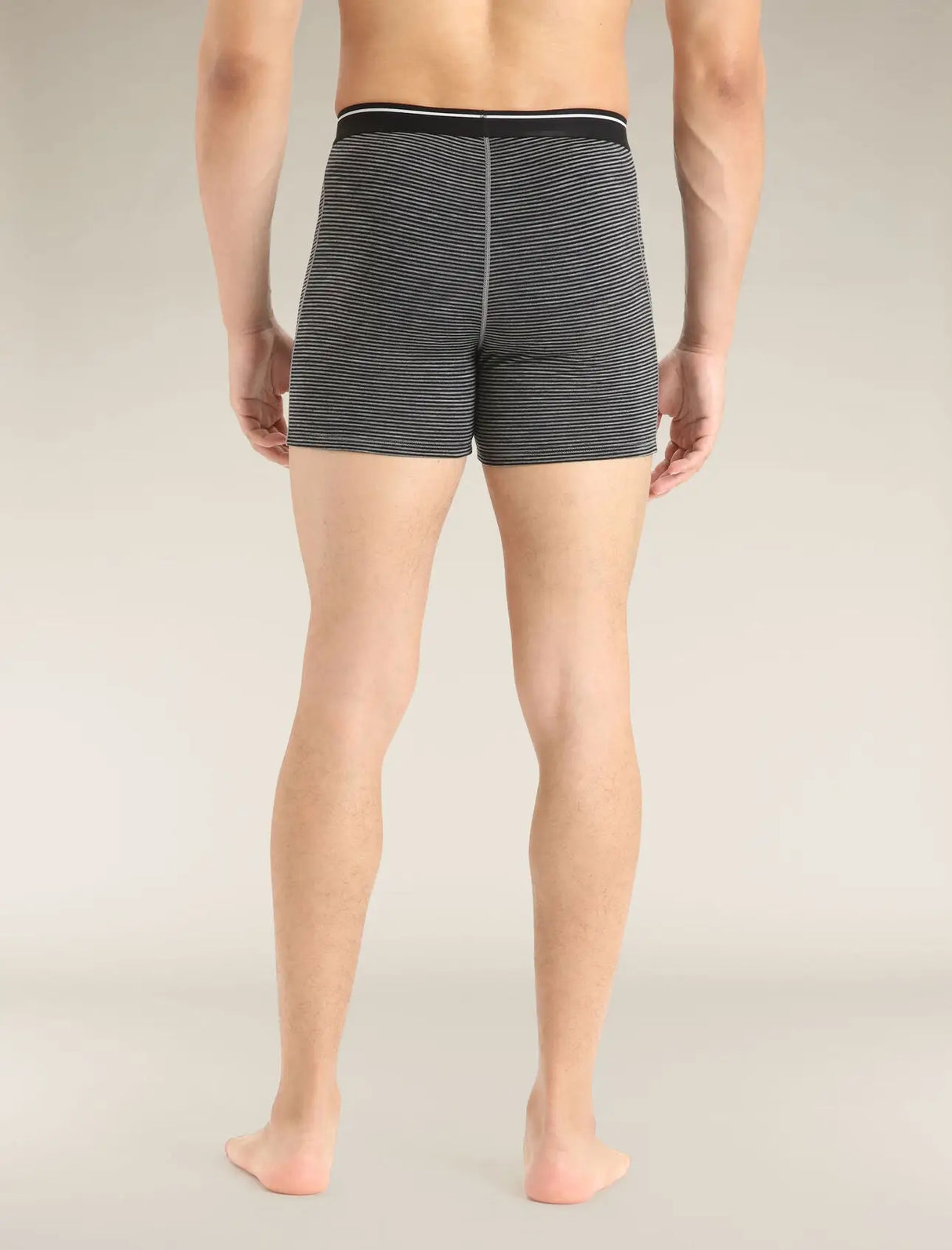 Icebreaker Merino 150 Anatomica Boxers (Men's) Icebreaker