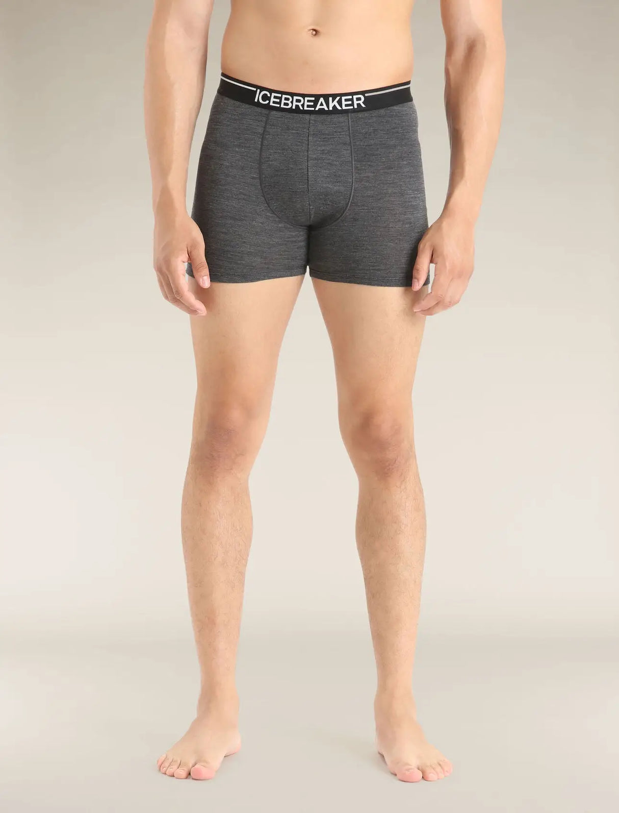 Icebreaker Merino 150 Anatomica Boxers (Men's) Icebreaker