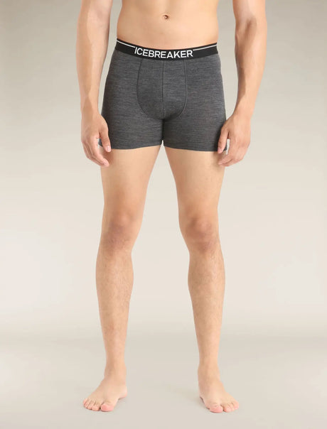 Icebreaker Merino 150 Anatomica Boxers (Men's) Icebreaker