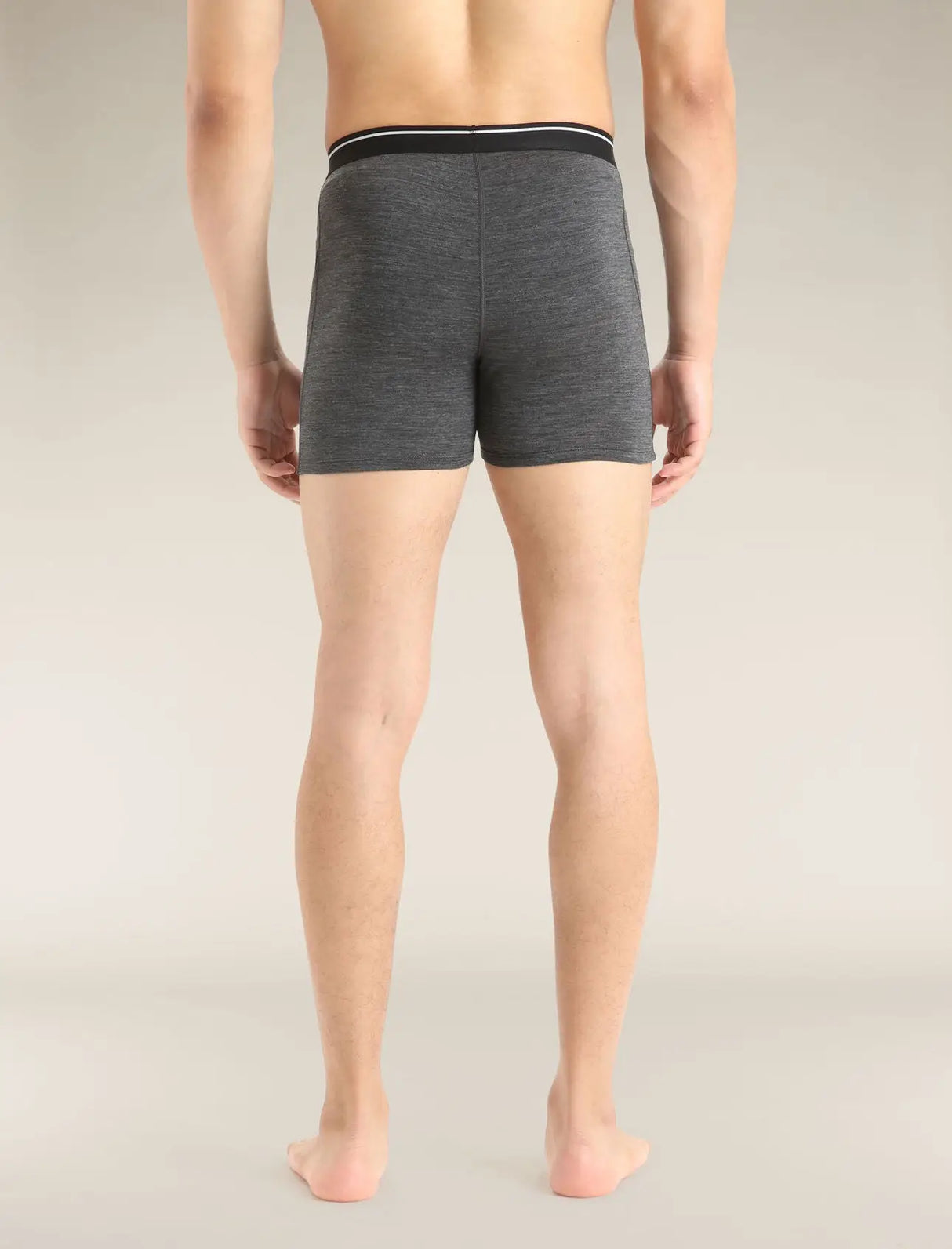 Icebreaker Merino 150 Anatomica Boxers (Men's) Icebreaker