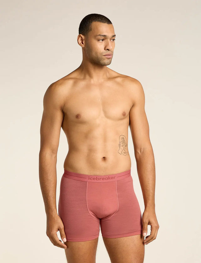 Icebreaker Merino 150 Anatomica Boxers (Men's) - Plume