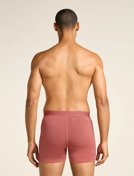 Icebreaker Merino 150 Anatomica Boxers (Men's) - Plume