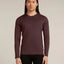 Icebreaker Merino 200 Oasis Long Sleeve Crew Neck Thermal Top (Men's) Icebreaker