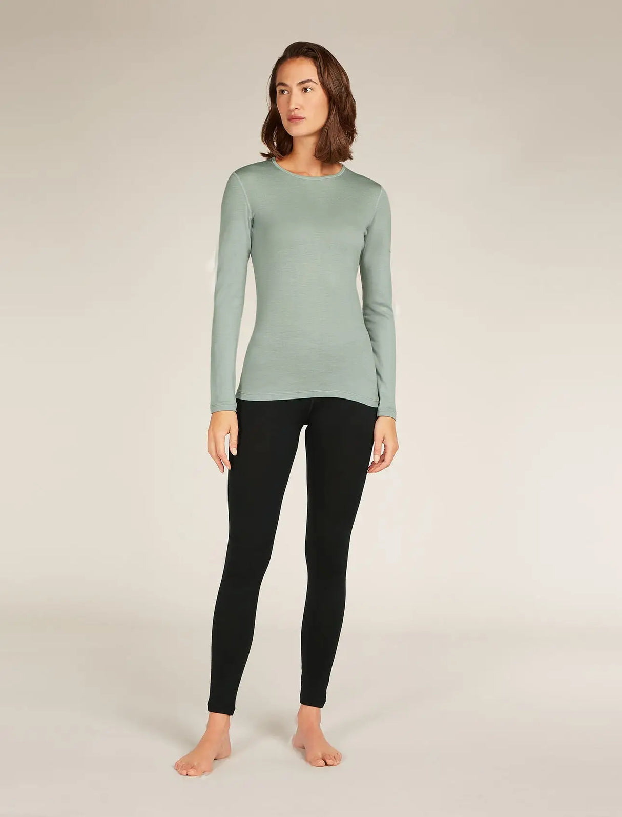 Icebreaker Merino 260 Tech Leggings (Women's) Icebreaker