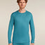 Icebreaker Merino 260 Tech Long Sleeve Crew Neck (Men's) Icebreaker