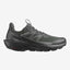 Salomon Elixir Activ GORE-TEX (Men's) - Phantom/Black/Magnet - Find Your Feet Australia Hobart Launceston Tasmania