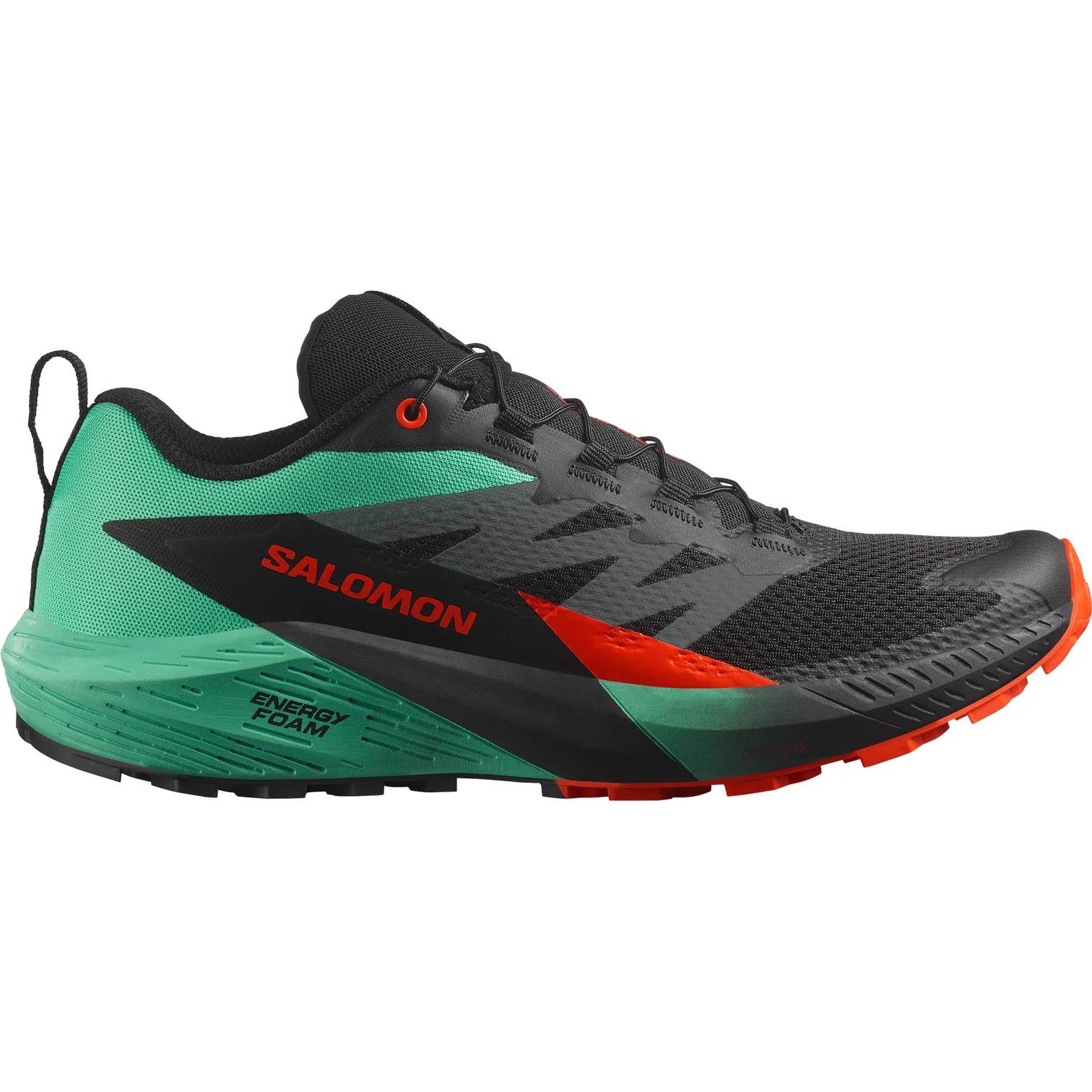 Salomon Sense Ride 5 Shoes (Men's)