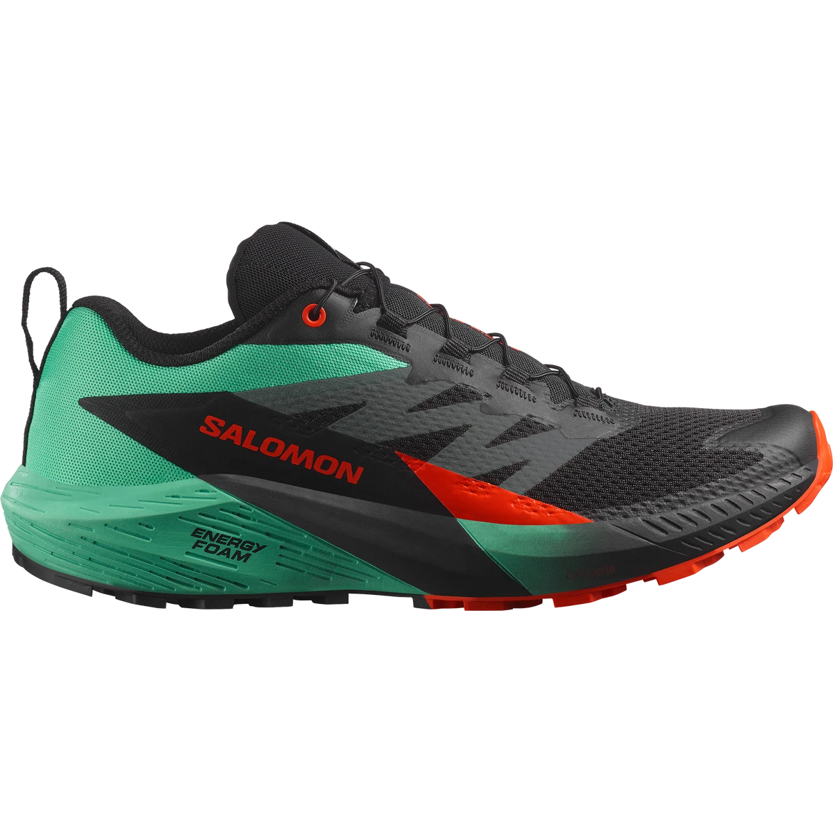 Salomon Sense Ride 5 Shoes (Men's)