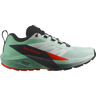 Salomon Sense Ride 5 Shoes (Women's)