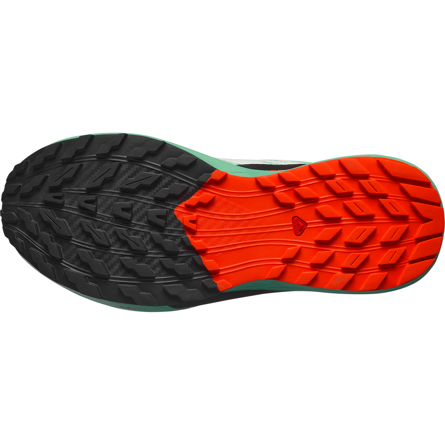 Salomon Sense Ride 5 Shoes (Women's)