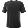 Salomon Shakeout Core Short Sleeve Tee (Men's) Salomon