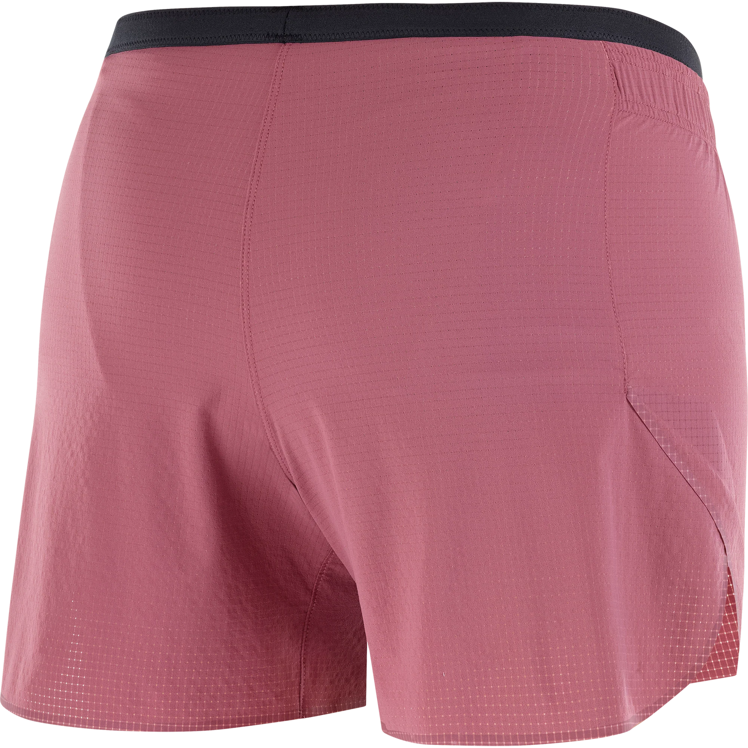 Salomon Sense Aero 5" Shorts (Women's) Salomon