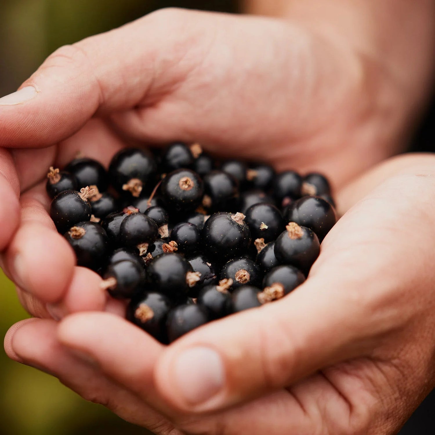 Moor Drink Mix Moor Endurance