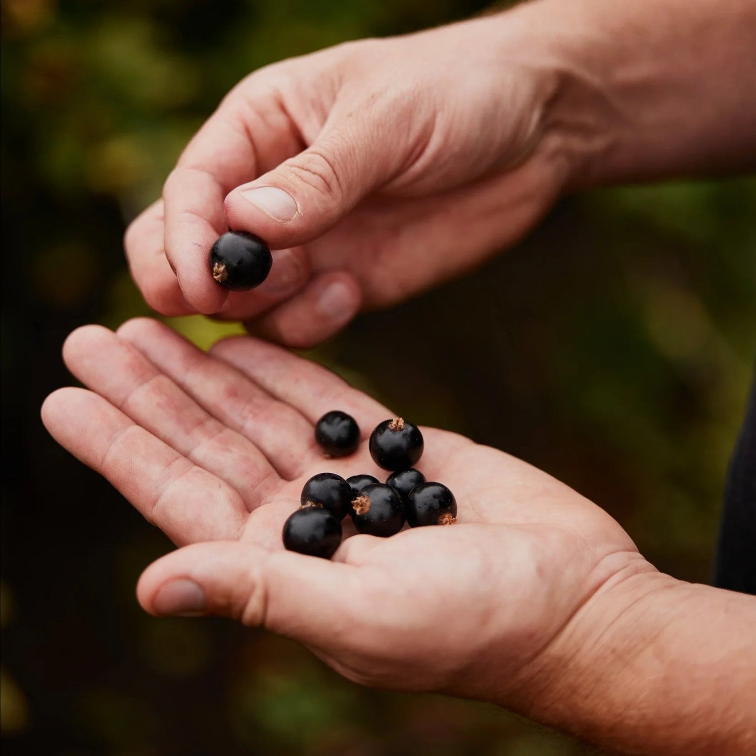 Moor Gel - 180g Moor Endurance