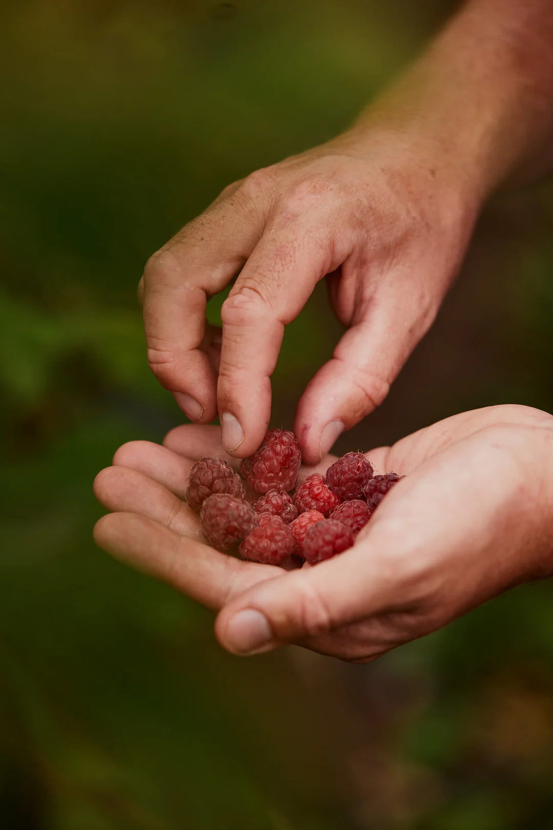 Moor Endurance Energy Gels Moor Endurance