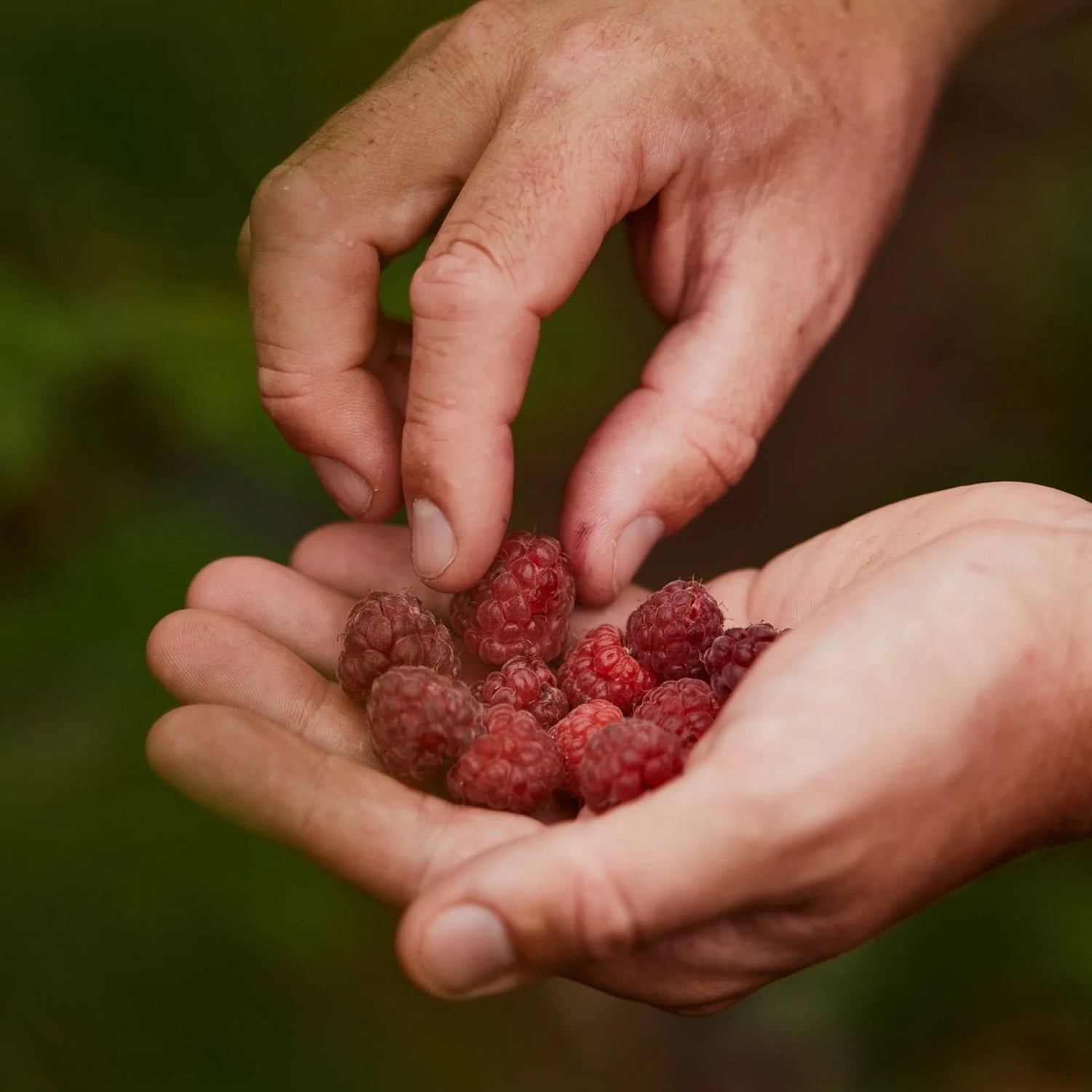 Moor The Ultra - 1125g Moor Endurance