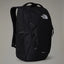 The North Face Vault - TNF Black-NPF - Find Your Feet Australia Hobart Launceston Tasmania